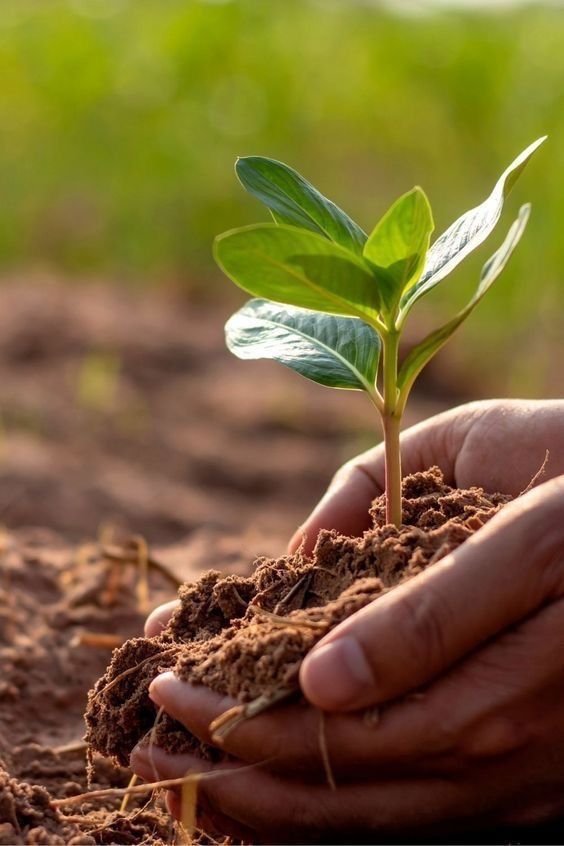 e18eaa2e cd2a 4aec b9b4 0d5b62395d6d